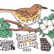 Georgia beer day logo